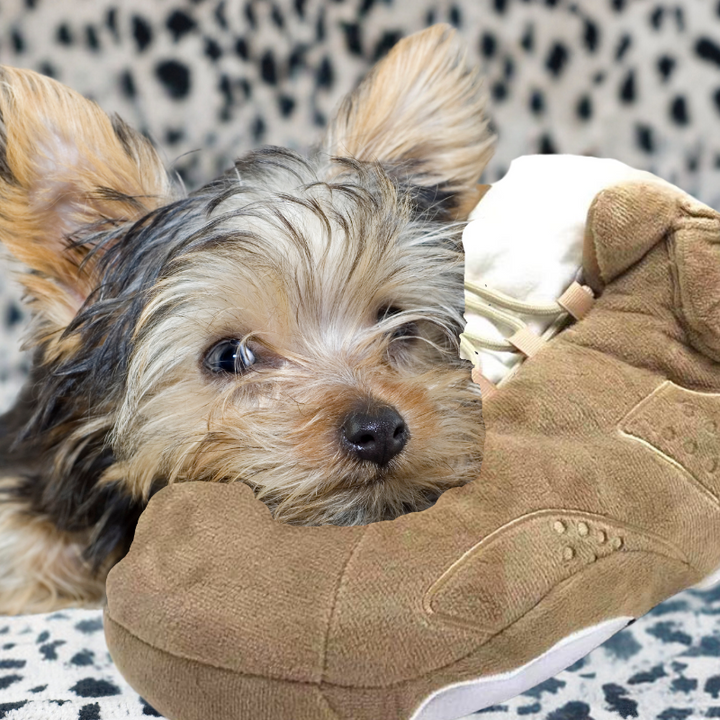 Cushy-Footsie-Sneaker-Slippers-Cushy-latte-paws-puppy